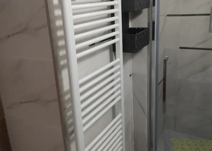 旅馆 Antonia 蒂米什瓦拉