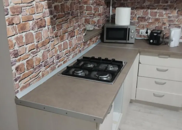 Antonia 旅馆 蒂米什瓦拉